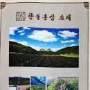 주식회사한솔식품 이미지