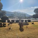 무릉초등학교 이미지