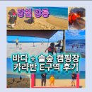 솔숲과 바다 | 연곡 솔향기 캠핑장 카라반 후기 | 강릉 캠핑장 바다 솔숲 동시에 즐기는 강릉 솔향기 캠핑장 예약 팁