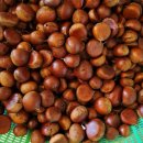 향촌농장 이미지