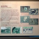 동삼동패총전시관 이미지