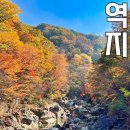 지리산 최고의 단풍 코스 | 피아골 뱀사골 계곡 등산 가이드 이미지