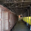 유예농장 이미지