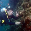 자유여행사 - 포항시 북구 양학천로 56 | 자유여행사