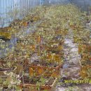 가온하우스 이미지