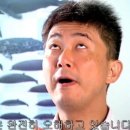 비자드림