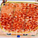 동해-단속-03 이미지