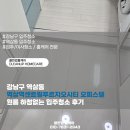 센트럴오피스텔 | 강남구 역삼동 역삼역센트럴푸르지오시티 오피스텔 원룸 하청없는 입주청소 후기