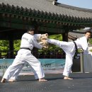 국가대표 국기태권도 이미지