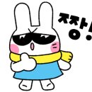 제주네 애견유치원 이미지