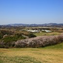 한우목장 이미지