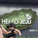 베드로목장 | 제주 엠버퓨어힐 아기랑 이용후기 수영장, 조식 정보