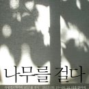 퀼트나무 - 경주시 원효로105번길 3 | 퀼트나무