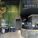 (주)위드어스인 | 석촌동카페) 석촌호수 앞 갤러리 대형 브런치 카페 / 대형 거북이 / 애견동반 가능 [슬로우어스]