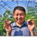 삼호농장4 이미지