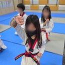 공감태권도 이미지