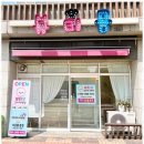 뷰티몽 | 동남지구애견미용 우리 아이도 사랑하는 뷰티몽 이용 후기