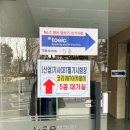 시계토끼 | 토익스피킹 영포자 영알못 노베이스 독학 IH 합격 후기 시계토끼제니쌤 토스인강추천