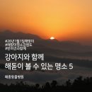 강남동물의료센터 이미지