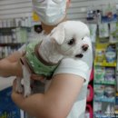 최광호동물병원 이미지