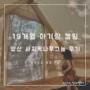 사지목 나무그늘 이미지