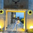 여자 구두 추천, 화이트 구두 하객 구두 추천 ‘텐디 베카치노 펌프스’