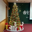 주식회사 자담인