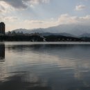 석호 Daum카페