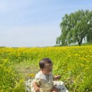 청주시농업기술센터 | 청주농업기술센터유채꽃 아기랑 힐링하고 왔어요!