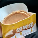산청-단성-단성-비상소화1 | 비 오는 날 산청 글램핑 오스테이에서 지리산 바베큐와 전통주로 힐링하기