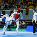 태권도대한체육관 이미지