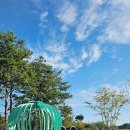 부안고려청자(목포) 이미지