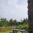 제주542펜션 이미지