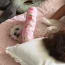 장평포로수용소 | 여름이 제일 싫어 !