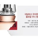 향헤어 | 디올헤어미스트 vs 지방시 헤어미스트 향 비교 내돈내산 후기 30대 여자 선물추천