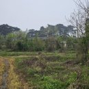 유천헌(柳川軒) | 산양면,존도리 - 풍산류씨,류천정(柳川亭), 지취헌(篪吹軒古宅)