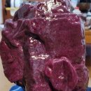 심장박물관 이미지