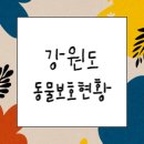 횡성바엘가축병원 | 강원도 동물보호 현황(농장, 병원, 보호센터, 등록대행업체)