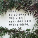 추월산로 | 담양 리소프 솔직후기│단체 워크샵에 여기만한 숙소 또 있을까?