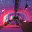 통리군부대 이미지