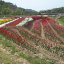 개폼난다 이미지