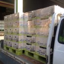 솔로몬농장 이미지