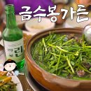 금수봉가든 | 🚦 금수봉가든(선양소주 린/도토리묵무침/해물파전/오리백숙/닭백숙/죽/지평막걸리)