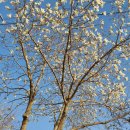 로즈마리 펜션 이미지