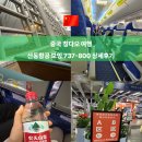 737 | [칭다오] 산동항공 보잉737-800 상세후기(공항 디디택시 타는곳)