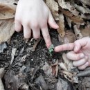 솔로몬어린이집 이미지