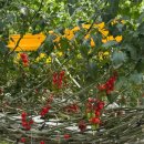 보광환경㈜ 이미지