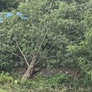 마을회관 앞 이미지