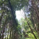 사평폭포 공중화장실 | 경남 양산 계곡 추천 천성산 홍룡사 홍룡폭포 실시간