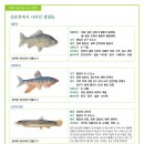 산본천 이미지